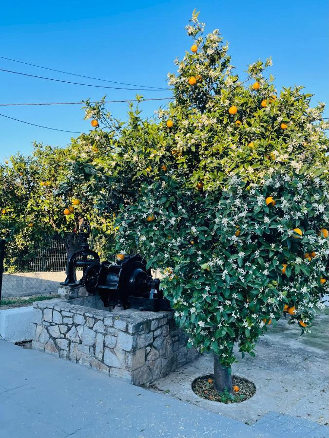 Citrus Garden Villa Epidaurus Exterior foto