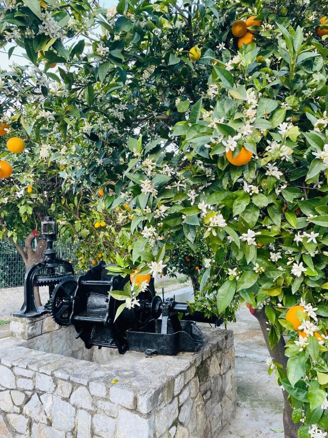 Citrus Garden Villa Epidaurus Exterior foto