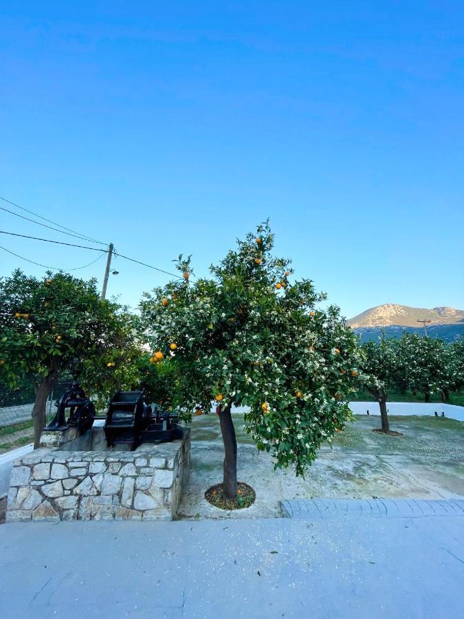 Citrus Garden Villa Epidaurus Exterior foto