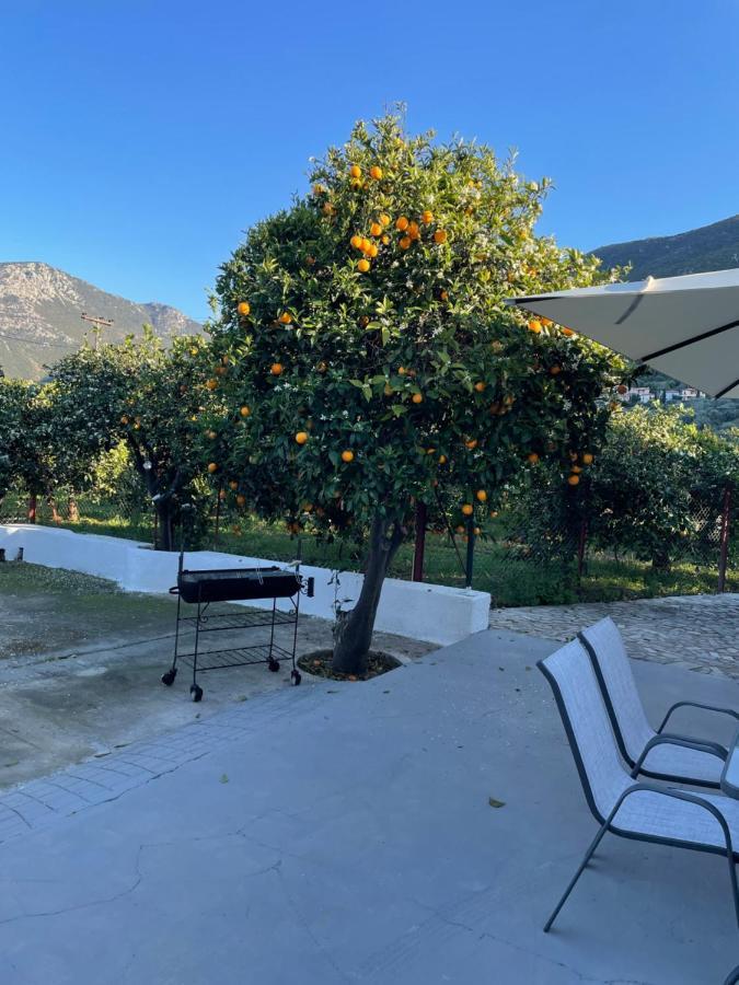Citrus Garden Villa Epidaurus Exterior foto