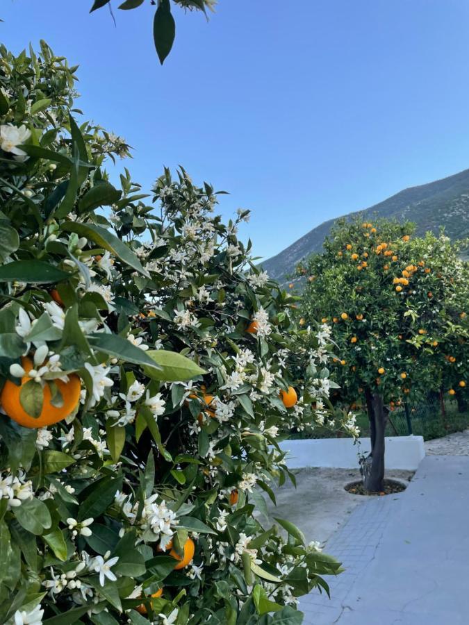 Citrus Garden Villa Epidaurus Exterior foto