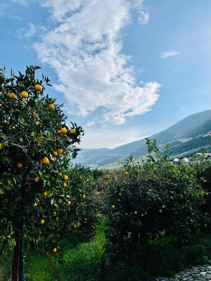 Citrus Garden Villa Epidaurus Exterior foto